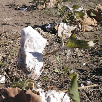 Exposició 'Encara fas servir tovalloletes humides?'