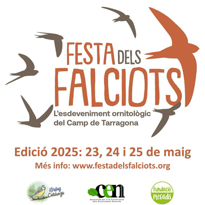 Festa dels Falciots, Parc Samà, 2025