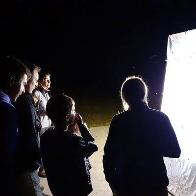 Fauna Nocturna, MónNatura, Pirineus, 2020
