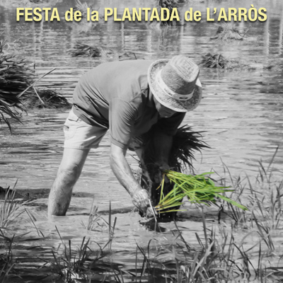 Festa de la Plantada - L'Aldea 2024 Festa de la Plantada - L'Aldea 2024