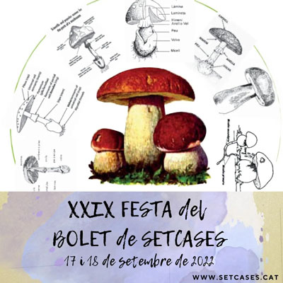XXIX Festa del Bolet - Setcases 2022