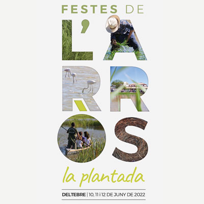 Festa de la Plantada de Deltebre 2022 Festa de la Plantada de Deltebre 2022