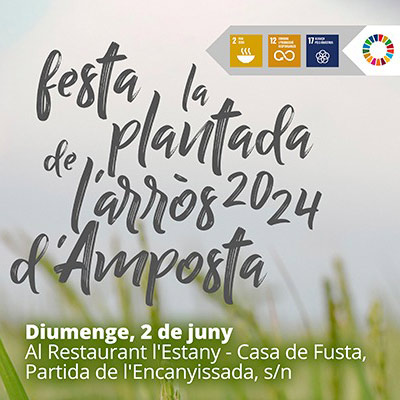 Festa de la Plantada de l'arròs d'Amposta 2024