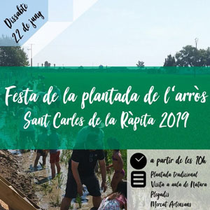 Festa de la plantada de l'arròs - La Ràpita 2019 Festa de la plantada de l'arròs - La Ràpita 2019