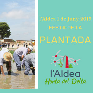 Festa de la Plantada - L'Aldea 2019 Festa de la Plantada - L'Aldea 2019