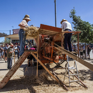 Festa del Batre