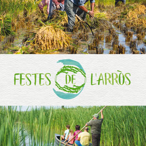 Festes de l'Arròs - Deltebre 2019 Festes de l'Arròs - Deltebre 2019