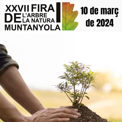 Fira de l'Arbre i de la Natura de Muntanyola 2024