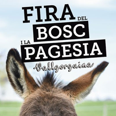 Fira del Bosc i la Pagesia de Vallgorguina 2022