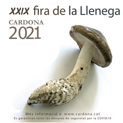 XXIX Fira de la Llenega - Cardona 2021