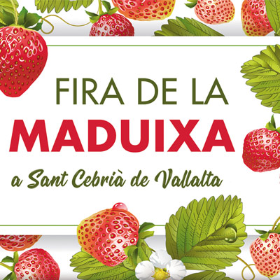 23a Fira de la Maduixa, Sant Cebrià de Vallalta, 2024