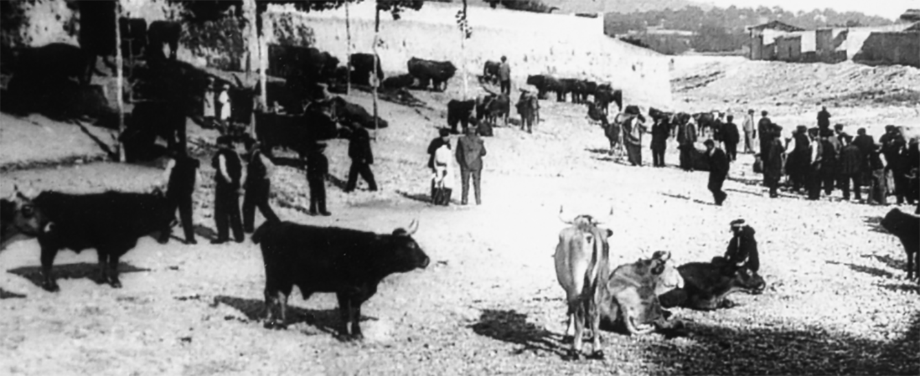 Fira de bestiar a la Riera de la Bisbal, segle XIX Fira de bestiar a la Riera de la Bisbal, segle XIX