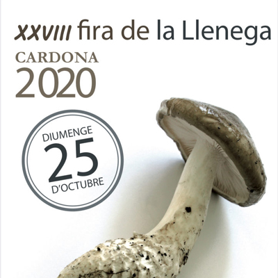 Fira de la Llenega Fira de la Llenega