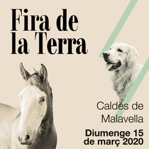 Fira de la Terra a Caldes de Malavella, 2020 Fira de la Terra a Caldes de Malavella, 2020