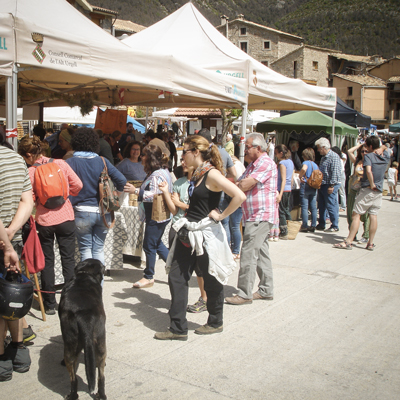 Festa i Fira de les Trementinaires, Vall de Tuixent, 2021