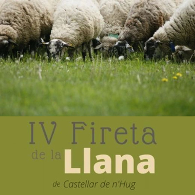 IV Fireta de la Llana, Castellar de n'Hug, 2022 IV Fireta de la Llana, Castellar de n'Hug, 2022