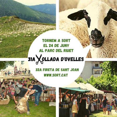 Xollada d’Ovelles amb Tisora i Fireta de Sant Joan, Sort, 2022