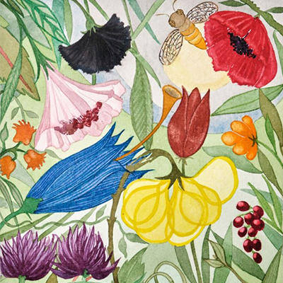 A pròposit d'unes flors
