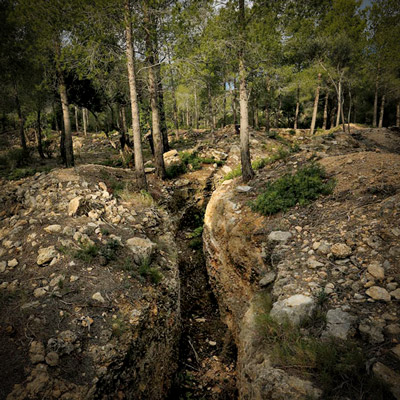 Trinxeres del Coll de Balaguer, Vandellòs i l'Hospitalet de l'Infant