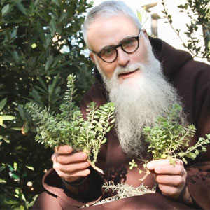 Fra Valentí Serra