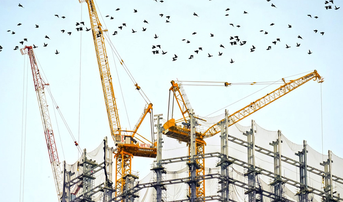 grues