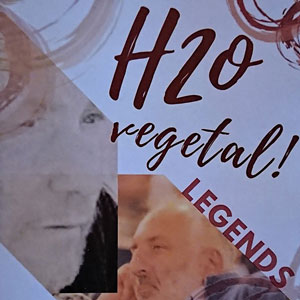 H20 Vegetal. Fira del vi natural - El Pinell de Brai 2019