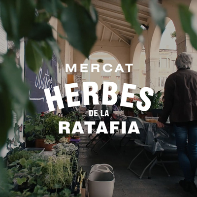 Mercat de les Herbes de la Ratafia, SAnta Coloma de Farners, 2022 Mercat de les Herbes de la Ratafia, SAnta Coloma de Farners, 2022