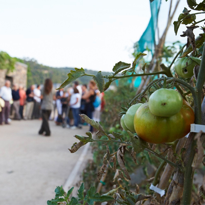 Baixem de l'hort