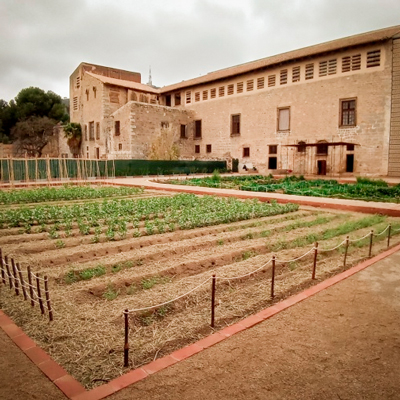 De l'hort a la taula, Monestir de Pedralbes, Barcelona, 2024