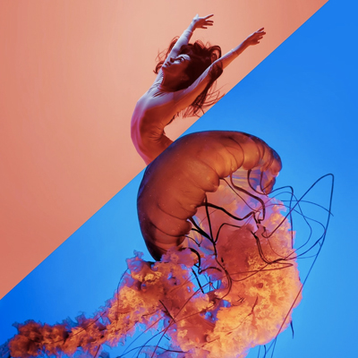 Festival Inund'Art, 2021 Festival Inund'Art, 2021