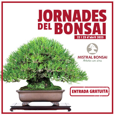 Jornades del Bonsai, Mistral Bonsai, 2023