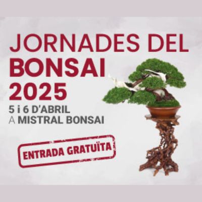 Jornades del Bonsai 2025 Jornades del Bonsai 2025