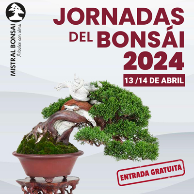 Jornades del Bonsai - Mistral Bonsai 2024 Jornades del Bonsai - Mistral Bonsai 2024