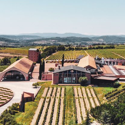 Celler Juvé & Camps