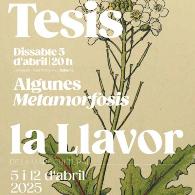 La Llavor, La Llavor 2025, La Mare Cultural, 2025 La Llavor, La Llavor 2025, La Mare Cultural, 2025