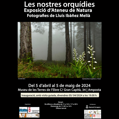 Exposició ‘Les nostres orquídies’