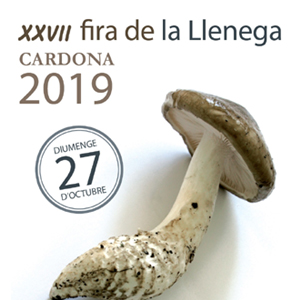 Fira de la Llenega Fira de la Llenega
