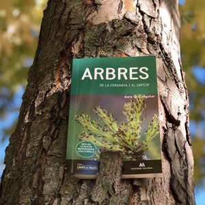 Llibre 'Arbres de la Cerdanya i el Capcir', Enric Orús