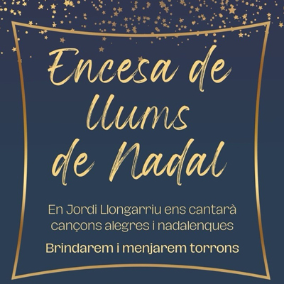 Encesa de Llums de Nadal a Sant Joan les Fonts, 2024 Encesa de Llums de Nadal a Sant Joan les Fonts, 2024
