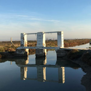 Visita 'Lo Delta a la Cassola' - MónNatura Delta de l'Ebre 2019 Visita 'Lo Delta a la Cassola' - MónNatura Delta de l'Ebre 2019