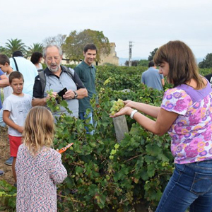 La Verema del Cava a Covides