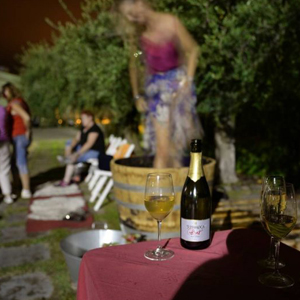 La Verema del Cava a Sumarroca La Verema del Cava a Sumarroca
