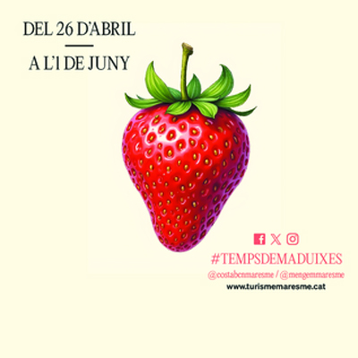Temps de Maduixes al Maresme