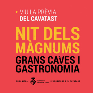 Nit dels Màgnums
