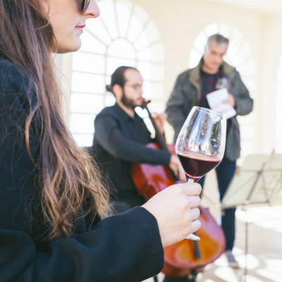 Mar de Sons i Vi, Museu Pau Casals, 2023