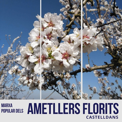 Marxa dels Ametllers Florits de Castelldans, 2022 Marxa dels Ametllers Florits de Castelldans, 2022