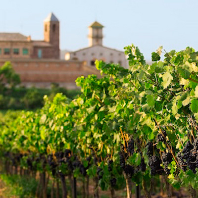 Celler Mas de Sant Iscle