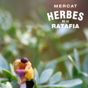 7a edició del Mercat de les Herbes, Ratafia, Santa Coloma de Farners, 2020 7a edició del Mercat de les Herbes, Ratafia, Santa Coloma de Farners, 2020