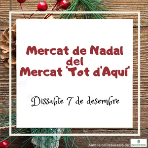 Mercat de Nadal del mercat 'Tot d'aquí' a Artesa de Segre, 2019 Mercat de Nadal del mercat 'Tot d'aquí' a Artesa de Segre, 2019