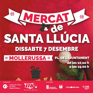 Mercat de Santa Llúcia a Mollerussa, Nadal, 2019 Mercat de Santa Llúcia a Mollerussa, Nadal, 2019